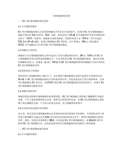 巨噬细胞极化机制