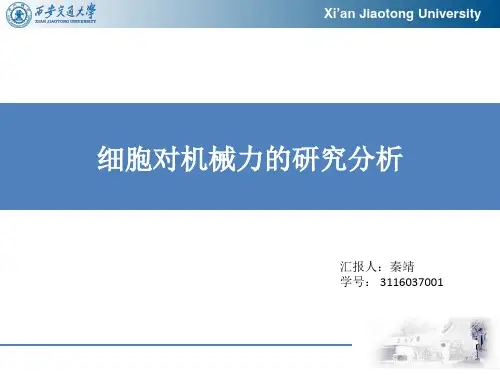 细胞与机械力的作用  3116037001