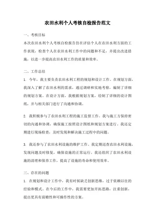 农田水利个人考核自检报告范文