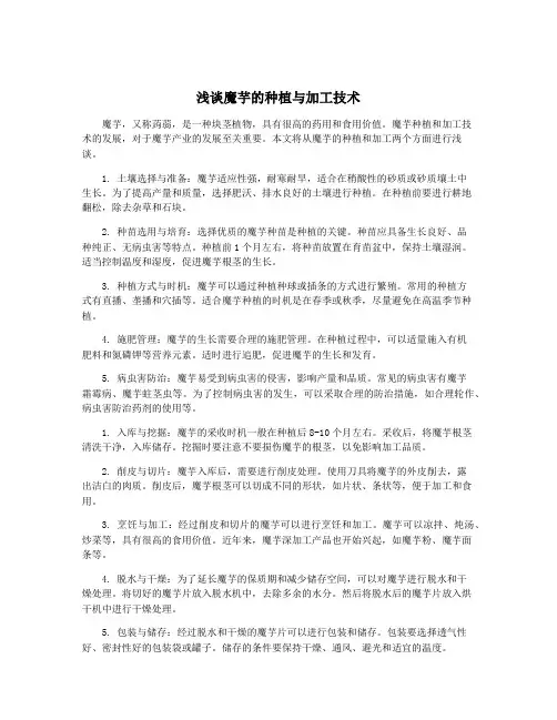 浅谈魔芋的种植与加工技术