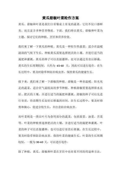 黄瓜甜椒叶菜轮作方案