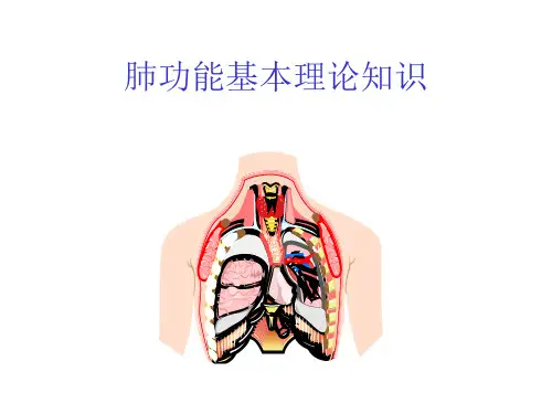 肺功能基础培训ppt课件