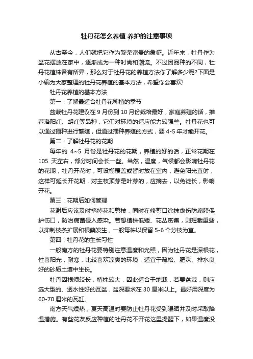 牡丹花怎么养植养护的注意事项