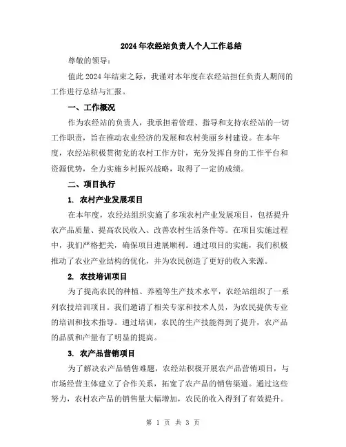 2024年农经站负责人个人工作总结