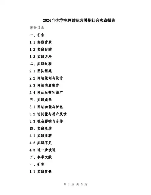 2024年大学生网站运营暑期社会实践报告
