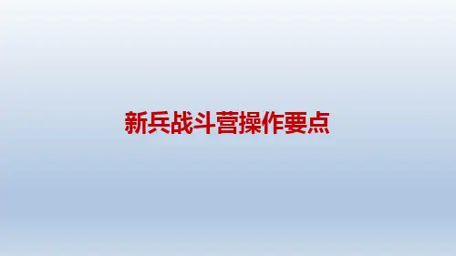 保险公司新兵战斗营系统操作技巧32页