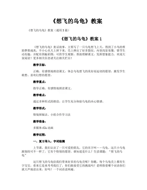 《想飞的乌龟》教案