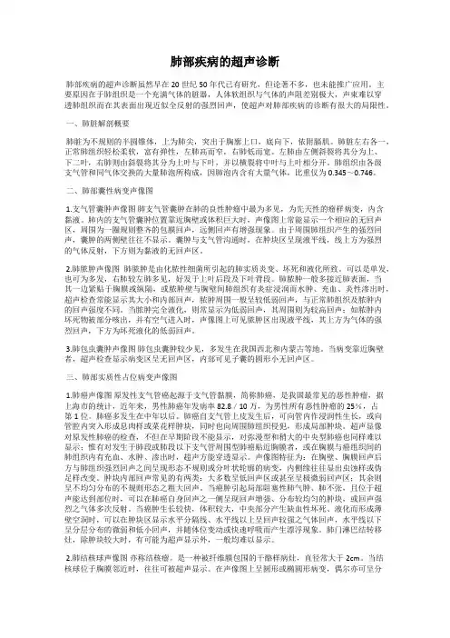 肺部疾病的超声诊断