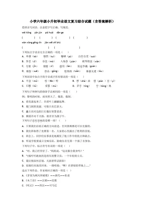 小学六年级小升初毕业语文复习综合试题(含答案解析)
