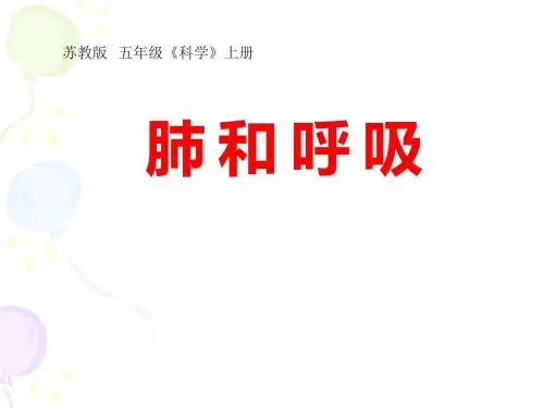 肺和呼吸