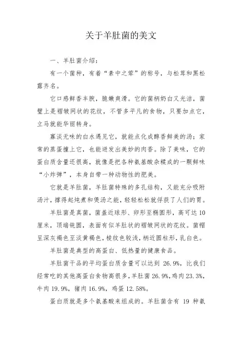 关于羊肚菌的美文