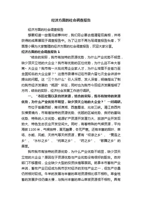 经济方面的社会调查报告
