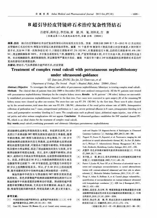 B超引导经皮肾镜碎石术治疗复杂性肾结石