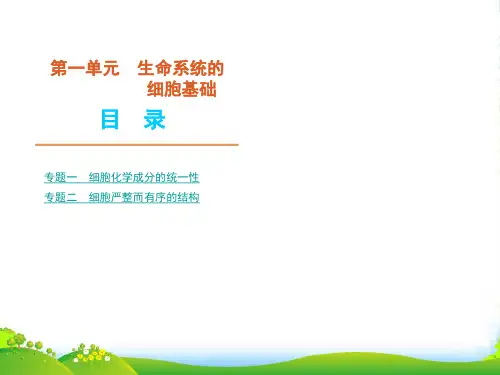 高考生物二轮复习 生命系统的细胞基础课件 新课标