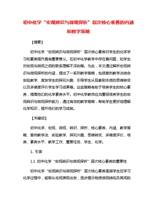 初中化学“宏观辨识与微观探析”层次核心素养的内涵和教学策略
