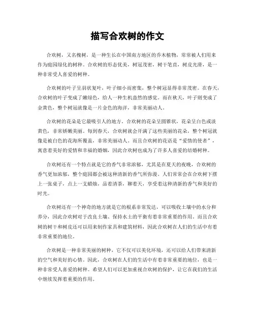 描写合欢树的作文