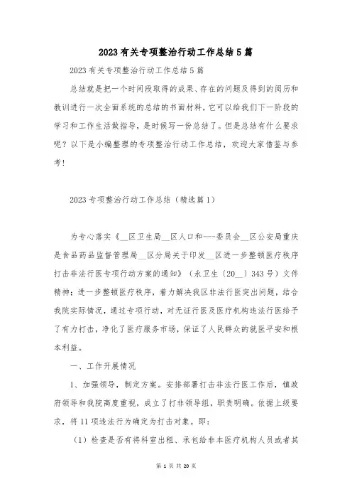 2023有关专项整治行动工作总结5篇