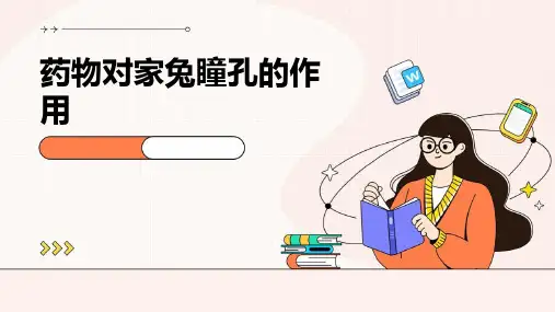 药物对家兔瞳孔的作用