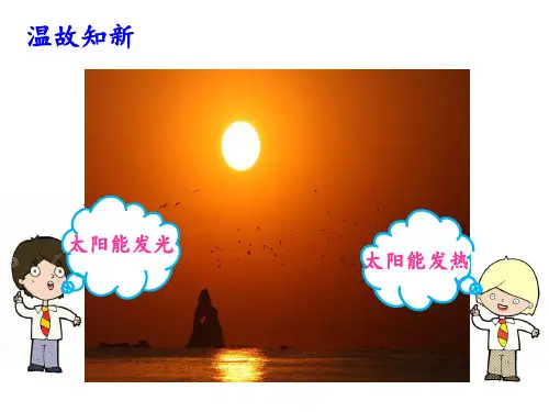一年级下册科学太阳对动植物的影响大象版 (2)