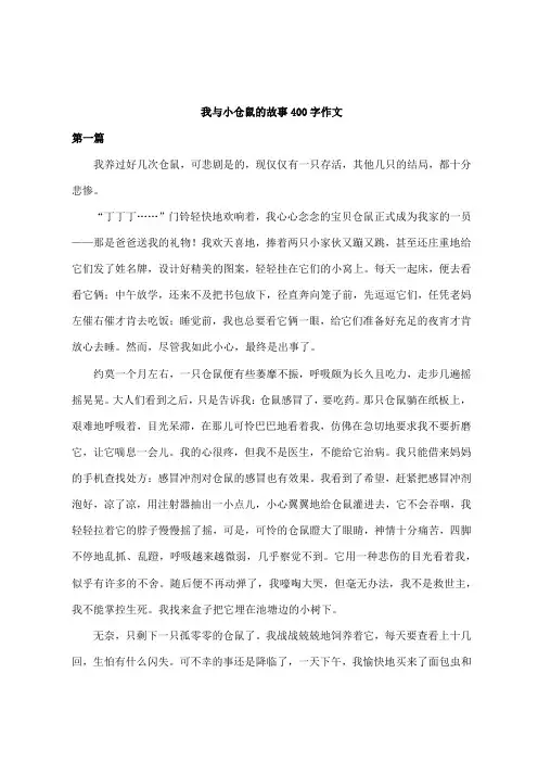 我与小仓鼠的故事400字作文