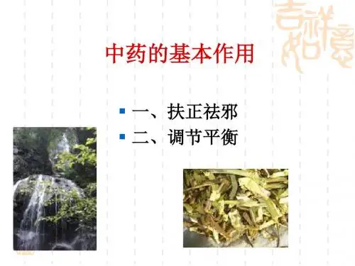 中药药性理论及现代研究