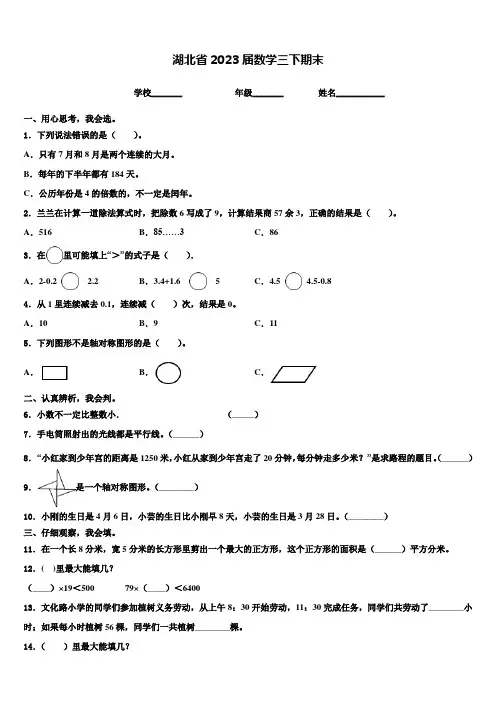 湖北省2023届数学三下期末含解析