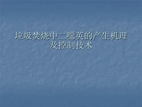 二恶英的产生机理及控制技术ppt课件