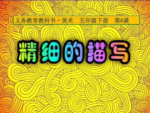 五年级美术下册课件-第6课：精细的描写-人美版(20张PPT)