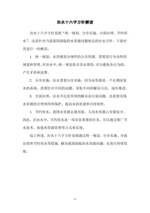 治水十六字方针解读