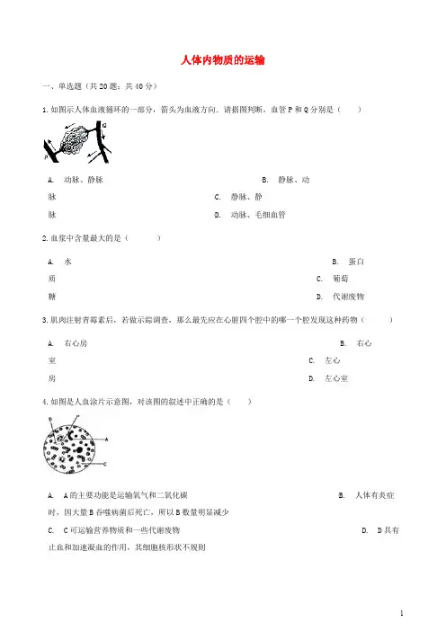 人教版七年级生物下册第四章人体内物质的运输章节测试含解析