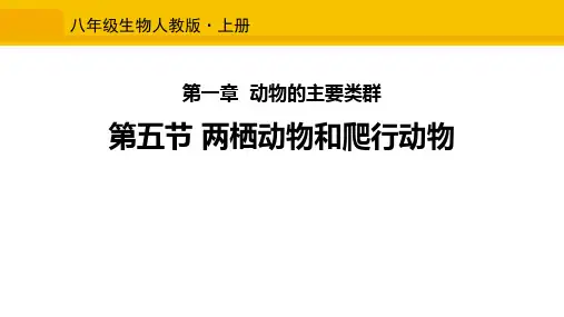 新人教版八年级生物上册《两栖动物和爬行动物》优质教学课件