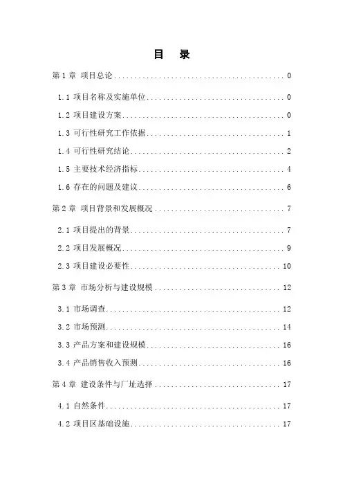 镍铁项目可行性研究报告范本