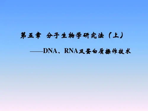 分子生物学-第5章-分子生物研究法(上)精选全文完整版