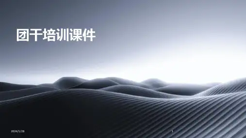 团干培训课件