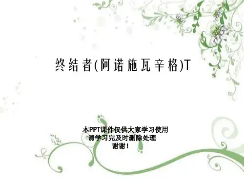 终结者(阿诺施瓦辛格)T幻灯片PPT