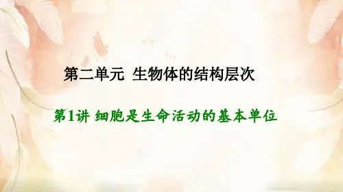 中考生物复习：细胞是生命活动的基本单位ppt(2份) 人教版