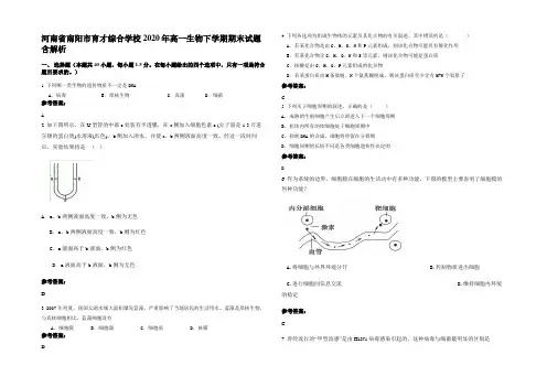 河南省南阳市育才综合学校2020年高一生物下学期期末试题含解析