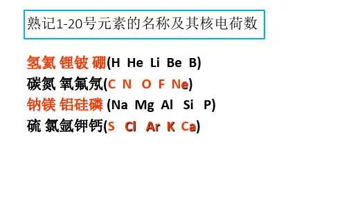 中考专题复习化学用语专题复习一(共25张ppt)