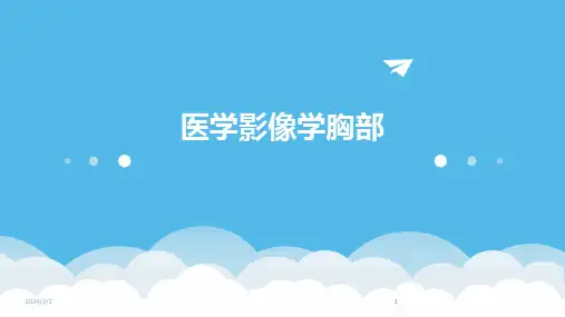 2024版年度医学影像学胸部