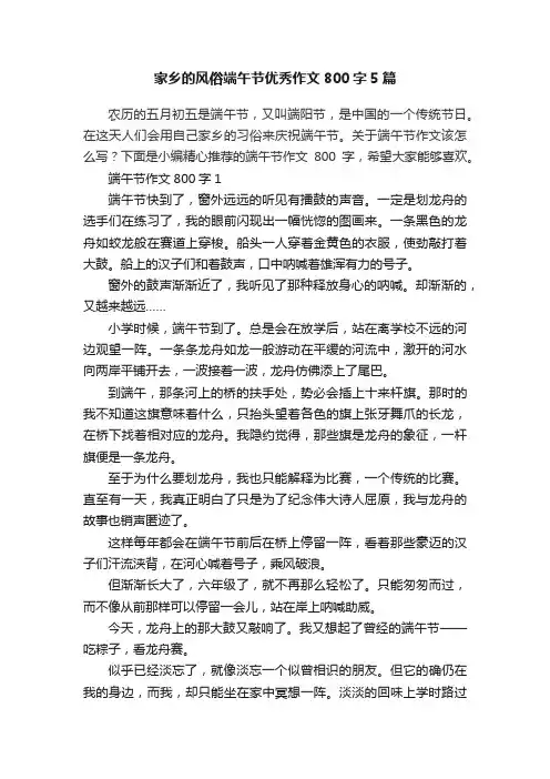 家乡的风俗端午节优秀作文800字5篇
