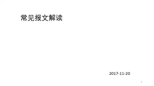 报文解读(课堂PPT)