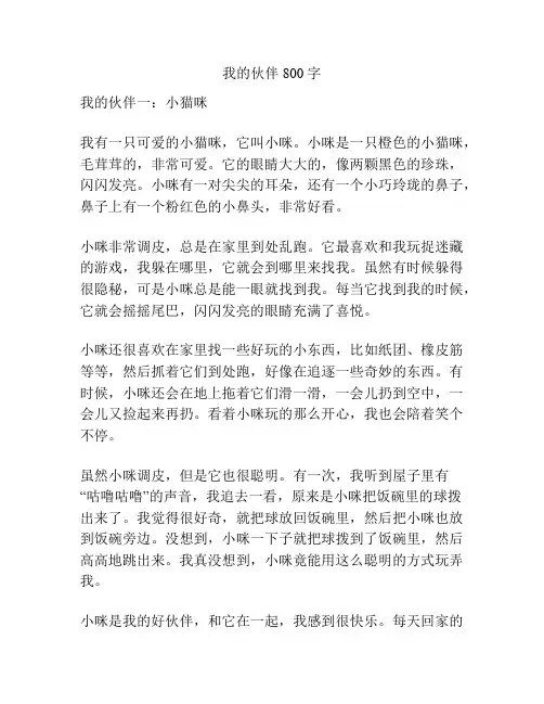 我的伙伴 800字