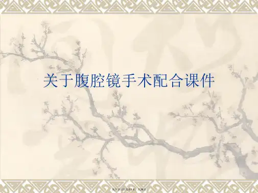 腹腔镜手术配合课件课件