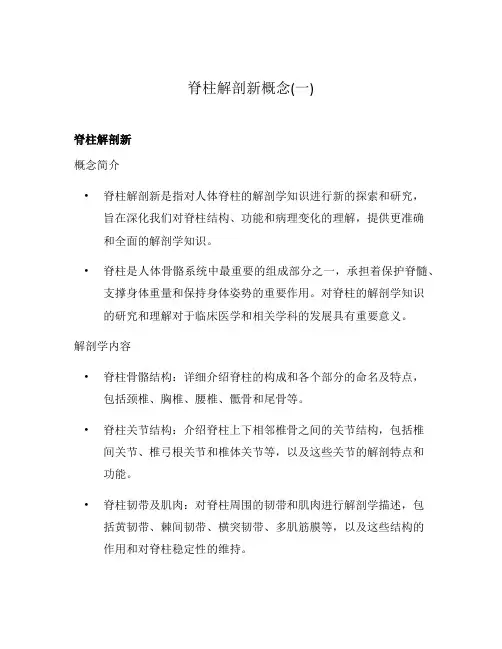 脊柱解剖新概念(一)