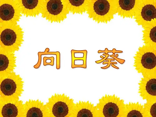 二年级下册美术课件-第15课 向日葵丨浙美版 共54张PPT)