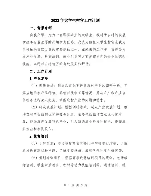 2023年大学生村官工作计划 