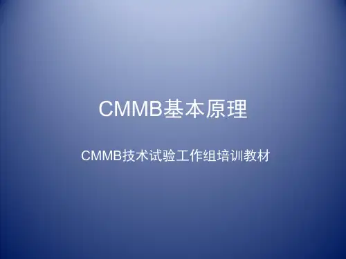 CMMB基本原理【精选】