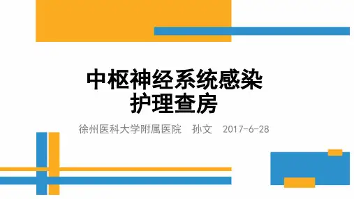 中枢神经系统护理查房 孙文