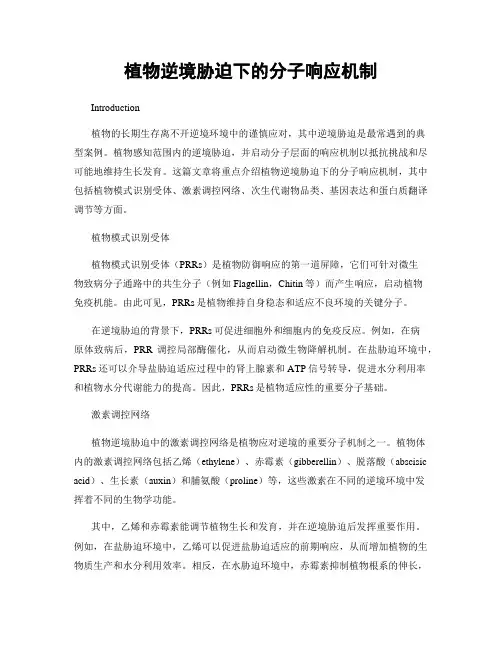 植物逆境胁迫下的分子响应机制