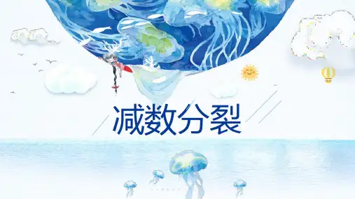 2.1 减数分裂 课件(51张ppt)【新教材】高一生物人教版(2019)必修二.ppt